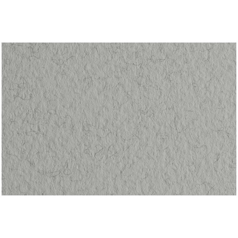 Бумага для пастели 10л. 500*650мм Fabriano "Tiziano", 160г/м2, серый холодный