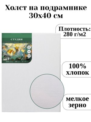 Холст на подрамнике ArtPinOk 30х40см, 100% хлопок, мелкое зерно