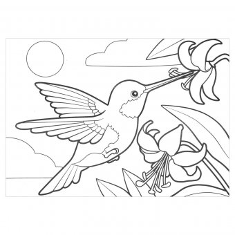 Раскраска по номерам ЮНЛАНДИЯ "Птицы" А4, 4 картинки (восковые мелки) 661613