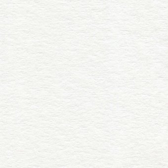 Папка для акварели BRAUBERG ART "Цветочный луг" А2, 10 листов, 400х590 мм 111062