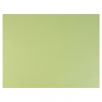 Бумага для пастели (1 лист) FABRIANO Tiziano А2+, 500х650 мм, салатовый теплый 52551011