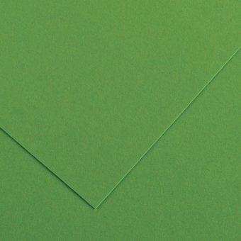 Картон для творчества SADIPAL "Sirio" А2+ (500х650 мм), 1 лист, зеленый мох 7877