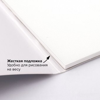 Альбом для акрила и масла, 300 г/м2, 190х270 мм, 10 листов, склейка, тиснение "холст", BRAUBERG ART PREMIERE, 