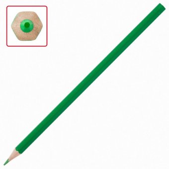 Карандаши цветные ПИФАГОР "Веселая такса", 36 цветов, классические, заточенные, 181809