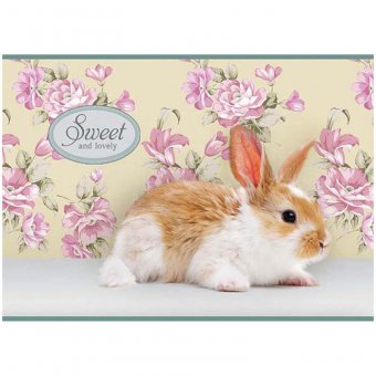 Альбом для рисования 08л. А4 на скрепке "Питомцы. Sweet pets", блок 100 г/м.кв.
