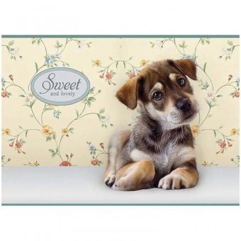 Альбом для рисования 24л. А4 на скрепке "Питомцы. Sweet pets", блок 100 г/м.кв.
