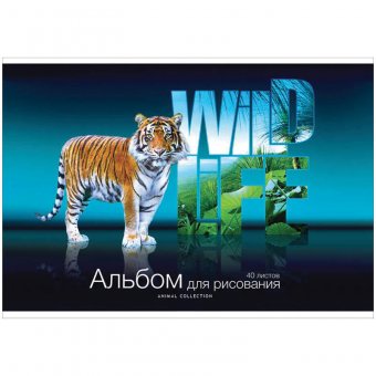 Альбом для рисования 40л. А4 на скрепке "Животные. Wild life"