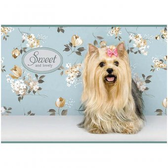 Альбом для рисования 40л. А4 на скрепке "Питомцы. Sweet pets", блок 100 г/м.кв.