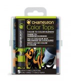 Набор цветовых блендеров Chameleon Color Tops Earth Tones 5 штук