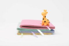 Набор блокнотов SM-LT Stitched colored notebook 13,5x21см 50л 80г/м2 4 шт, сшивка