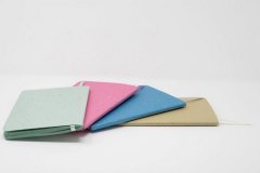 Набор блокнотов SM-LT Stitched colored notebook 13,5x21см 50л 80г/м2 4 шт, сшивка