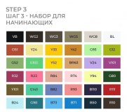 Набор маркеров на спиртовой основе Sketchmarker BRUSH Step 3 36шт для начинающих, сумка органайзер