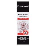 Карандаши угольные BRAUBERG ART CLASSIC (12 шт) заточенные (мягкий, средний, твердый) 181293