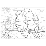 Раскраска по номерам ЮНЛАНДИЯ "Птицы" А4, 4 картинки (восковые мелки) 661613