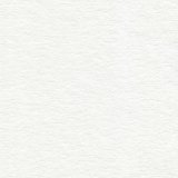Папка для акварели BRAUBERG ART "Цветочный луг" А2, 10 листов, 400х590 мм 111062