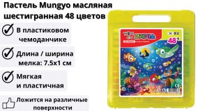 Пастель Mungyo масляная шестигранная 48 цветов в чемоданчике