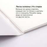 Папка для акварели/планшет, 300 г/м2, 270х390 мм, склейка, мелкое зерно, 20 л., BRAUBERG ART PREMIERE, 113249