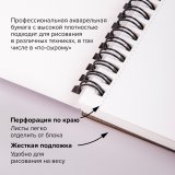 Альбом для акварели, бумага 300 г/м2, 270х390 мм, среднее зерно, 16 листов, гребень, BRAUBERG ART "PREMIERE", 