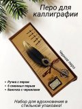 Перьевая ручка для каллиграфии, набор с чернилами, черное перо ArtNest 228868
