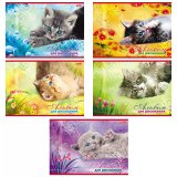 Альбом для рисования Хатбер 20л. А4 на скрепке "Котята"