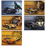 Альбом для рисования Хатбер 24л. А4 на спирали "Real Car"
