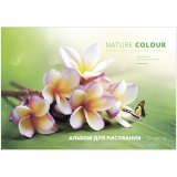 Альбом для рисования 32л. А4  на спирали "Цветы. Beautiful floral"