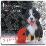 Карандаши цветные "Щенок" 24 цвета, металлическая коробка