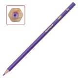 Карандаши цветные акварельные BIC "Aquacouleur", 12 цветов заточенные 8575613