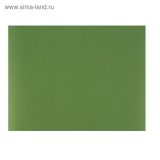 Картон Canson для паспарту Mi-Teintes 1090г/м.кв 80x120cм №475 Зеленое яблоко